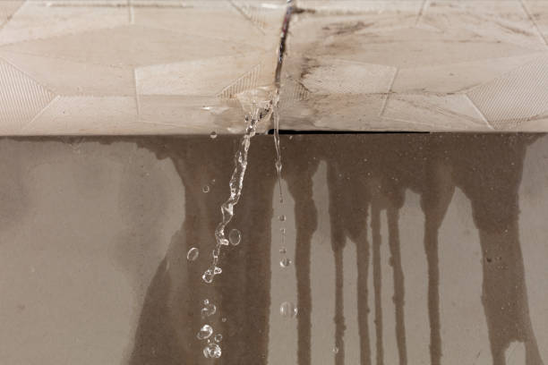 Professional Sewage Cleanup technician working in Neville, OH